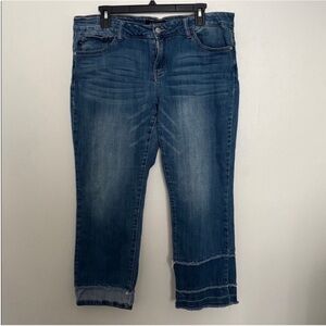 Judy Blue Straight Fit Jeans Size 15/32
